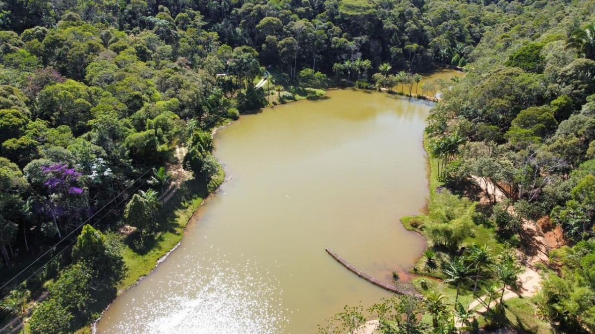 Chácara à venda com 1 quarto, 2500m² - Foto 4