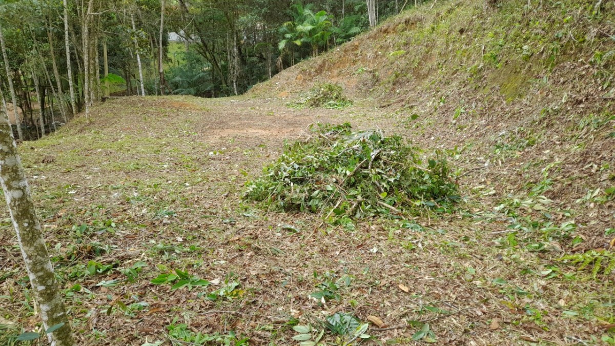 Chácara à venda com 1 quarto, 2500m² - Foto 13