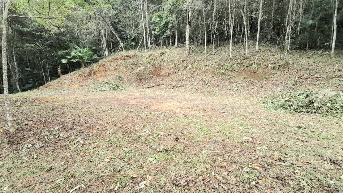 Chácara à venda com 1 quarto, 2500m² - Foto 11