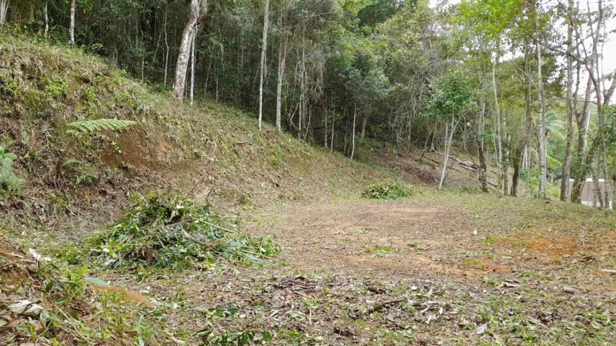 Chácara à venda com 1 quarto, 2500m² - Foto 15