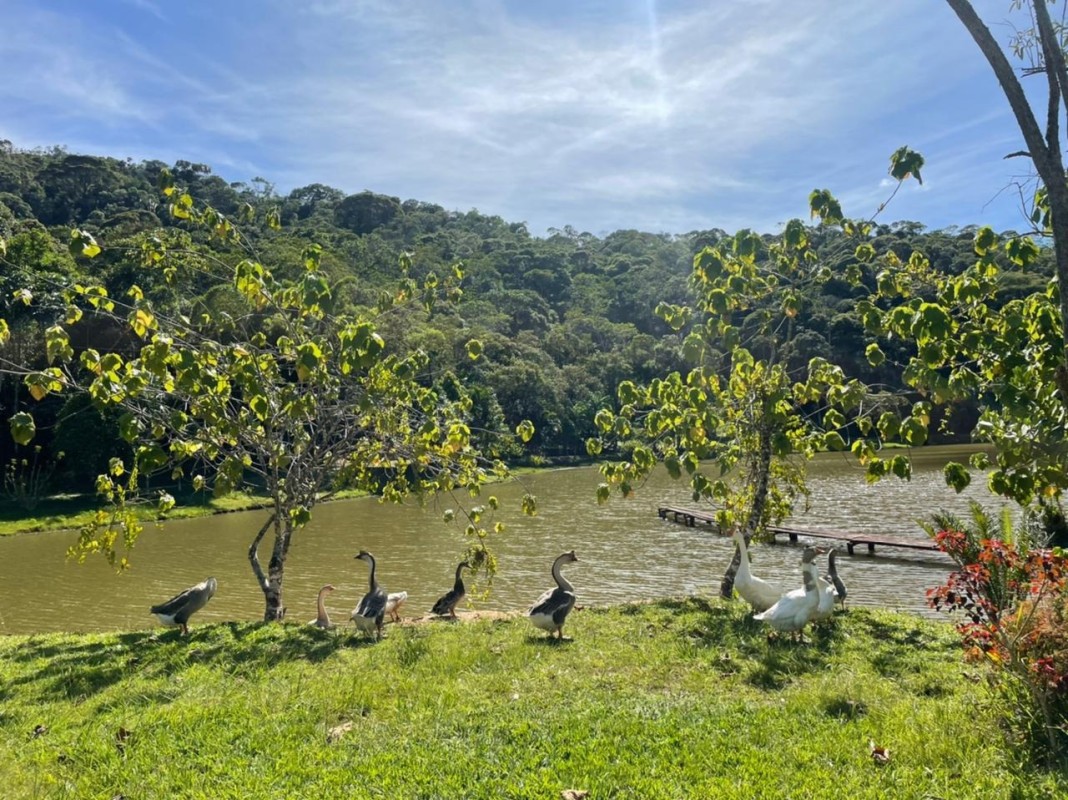 Chácara à venda com 1 quarto, 2500m² - Foto 3