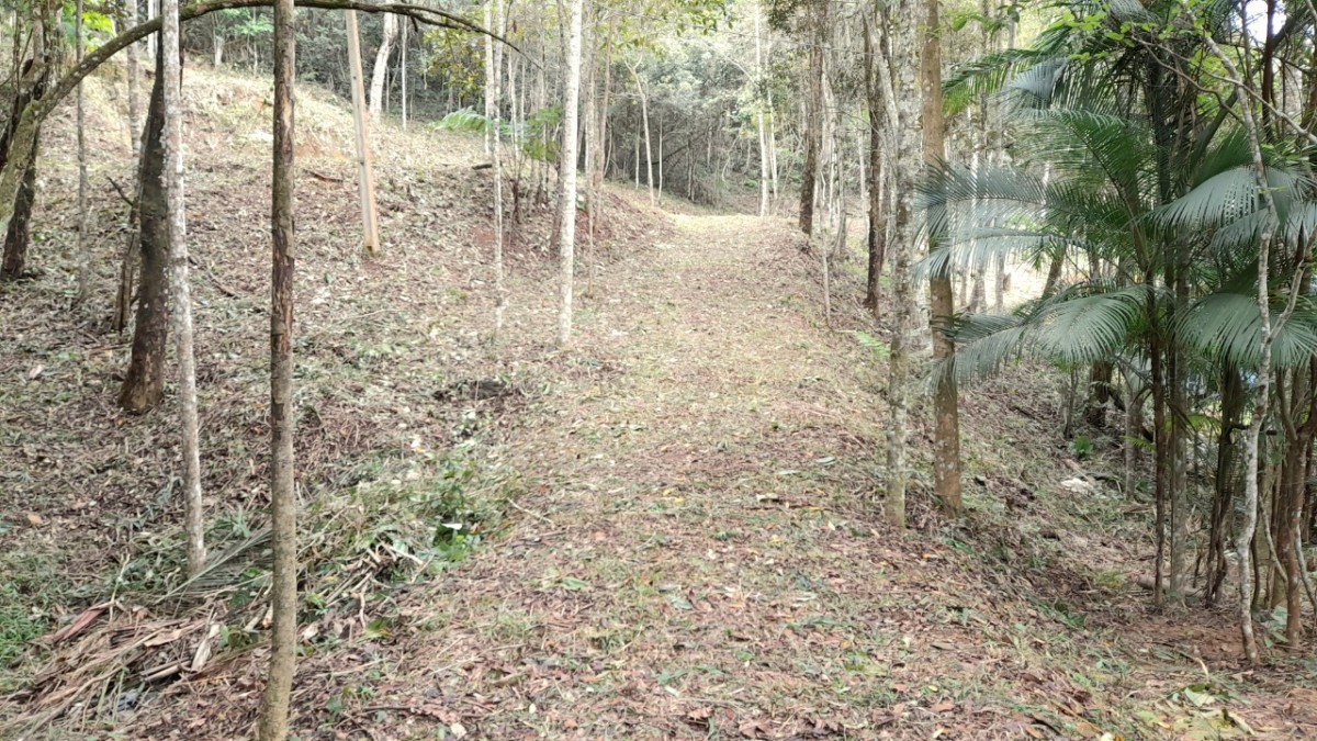 Chácara à venda com 1 quarto, 2500m² - Foto 10