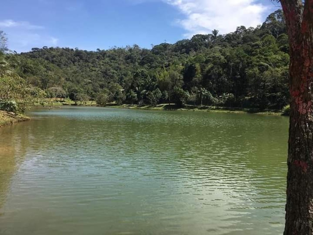 Chácara à venda com 1 quarto, 2500m² - Foto 5