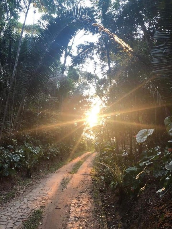 Chácara à venda com 1 quarto, 2500m² - Foto 7