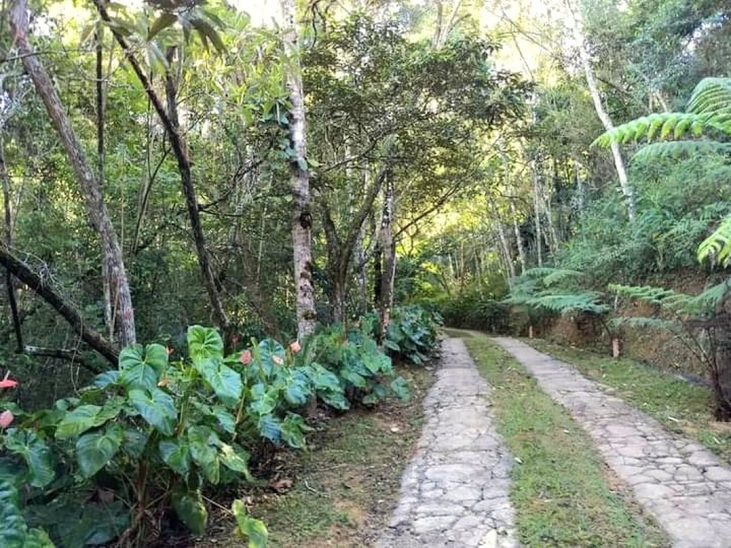 Chácara à venda com 1 quarto, 2500m² - Foto 8
