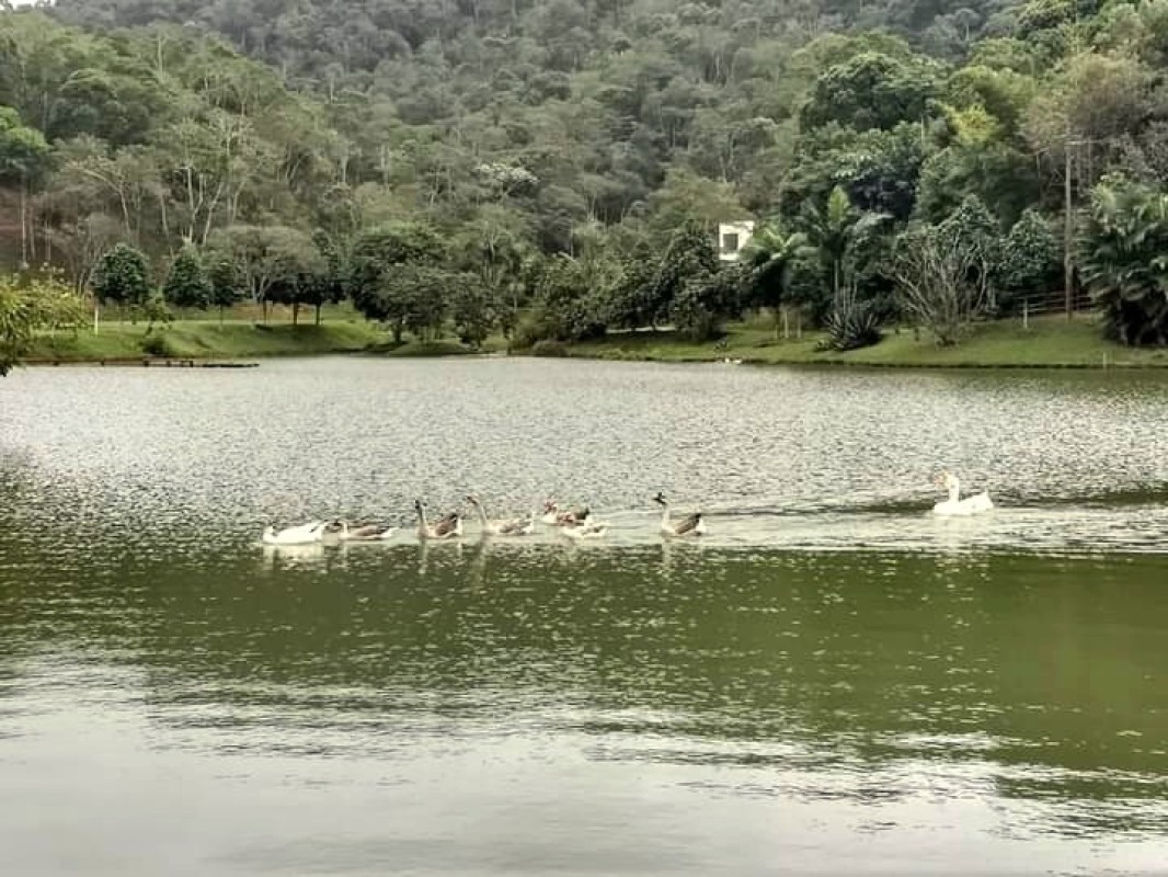 Chácara à venda com 1 quarto, 2500m² - Foto 6