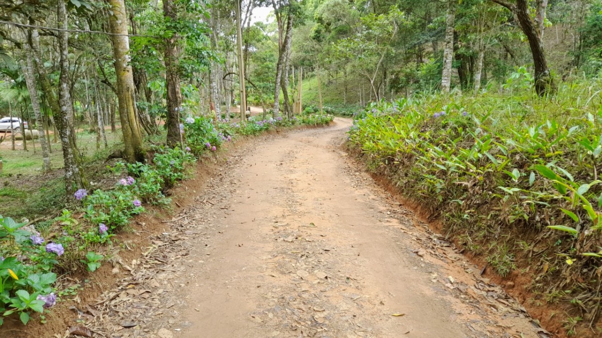 Chácara à venda com 1 quarto, 2500m² - Foto 9