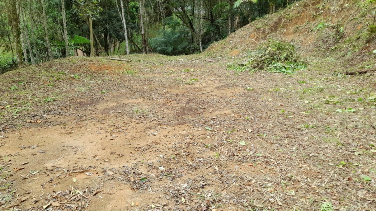 Chácara à venda com 1 quarto, 2500m² - Foto 14