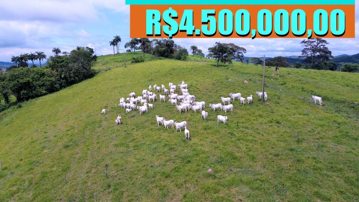 Fazenda à venda com 1 quarto, 1290000m² - Foto 13