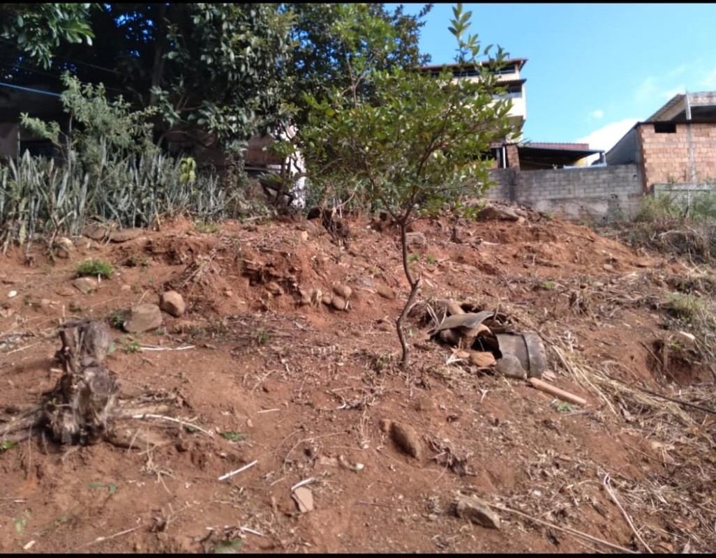 Terreno à venda, 360m² - Foto 7