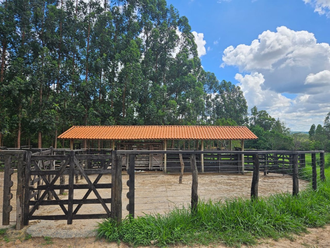 Fazenda à venda com 1 quarto, 3500000000m² - Foto 8