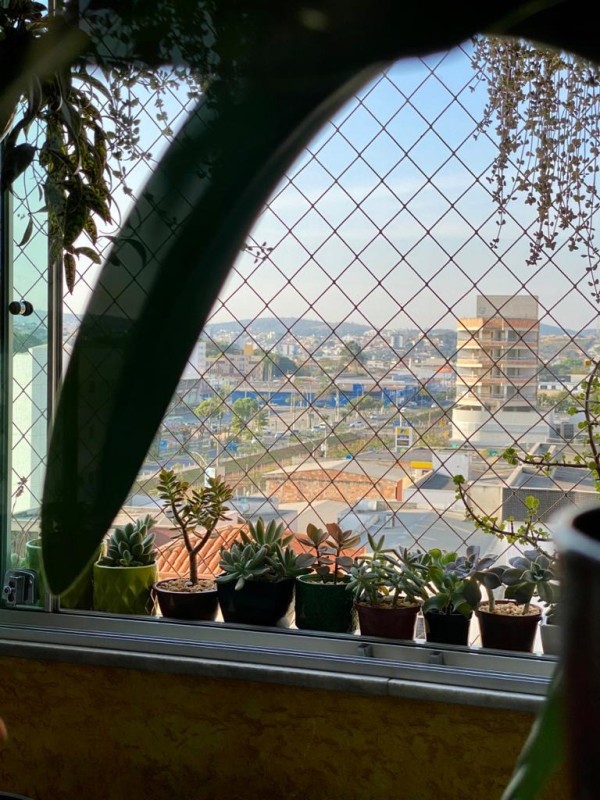 Apartamento à venda com 3 quartos, 86m² - Foto 10