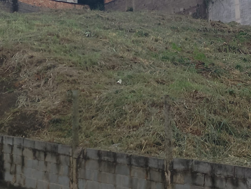 Terreno à venda, 1080m² - Foto 3