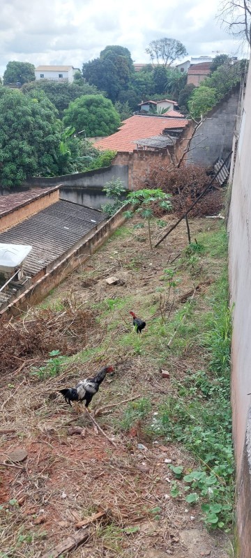 Terreno à venda, 200m² - Foto 1
