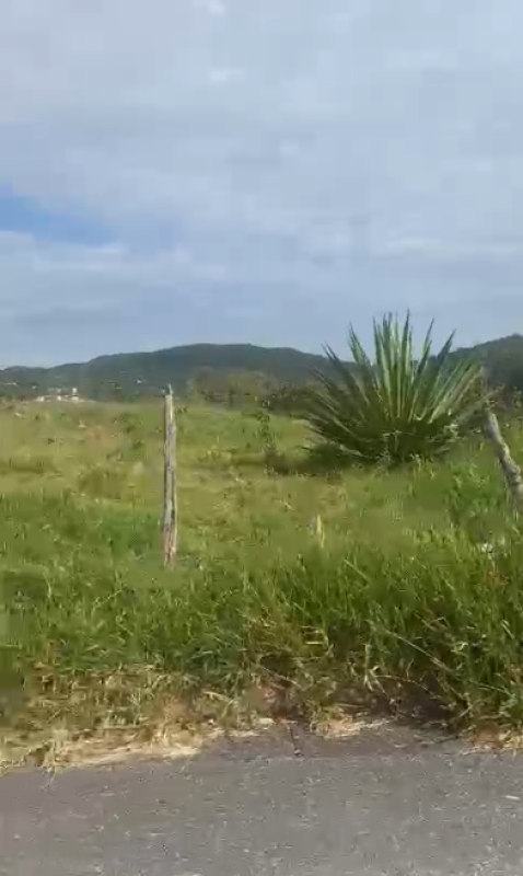 Terreno à venda, 10000m² - Foto 8