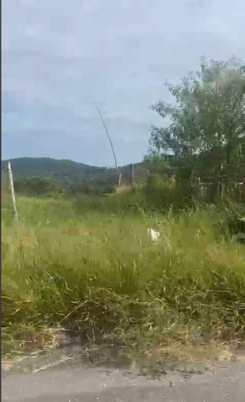 Terreno à venda, 10000m² - Foto 9