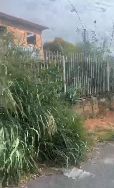 Terreno à venda, 10000m² - Foto 10