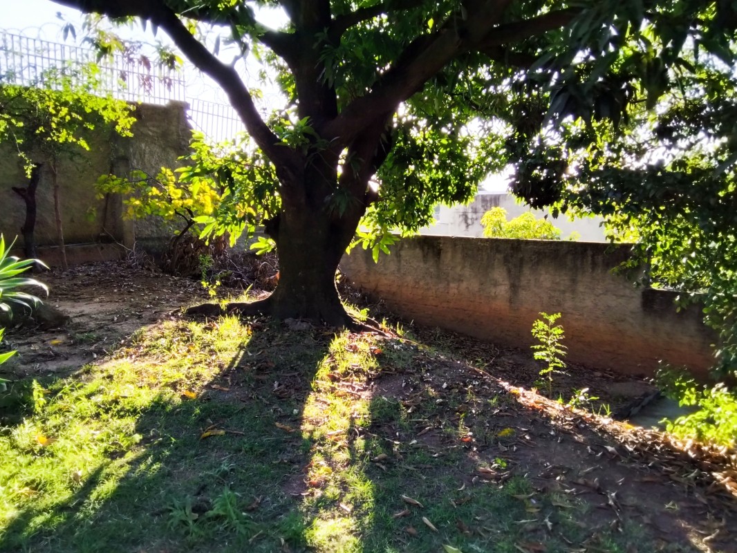 Casa à venda com 3 quartos, 360m² - Foto 2