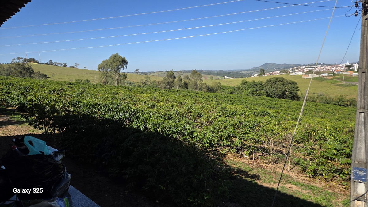 Sítio à venda com 1 quarto, 121000m² - Foto 17