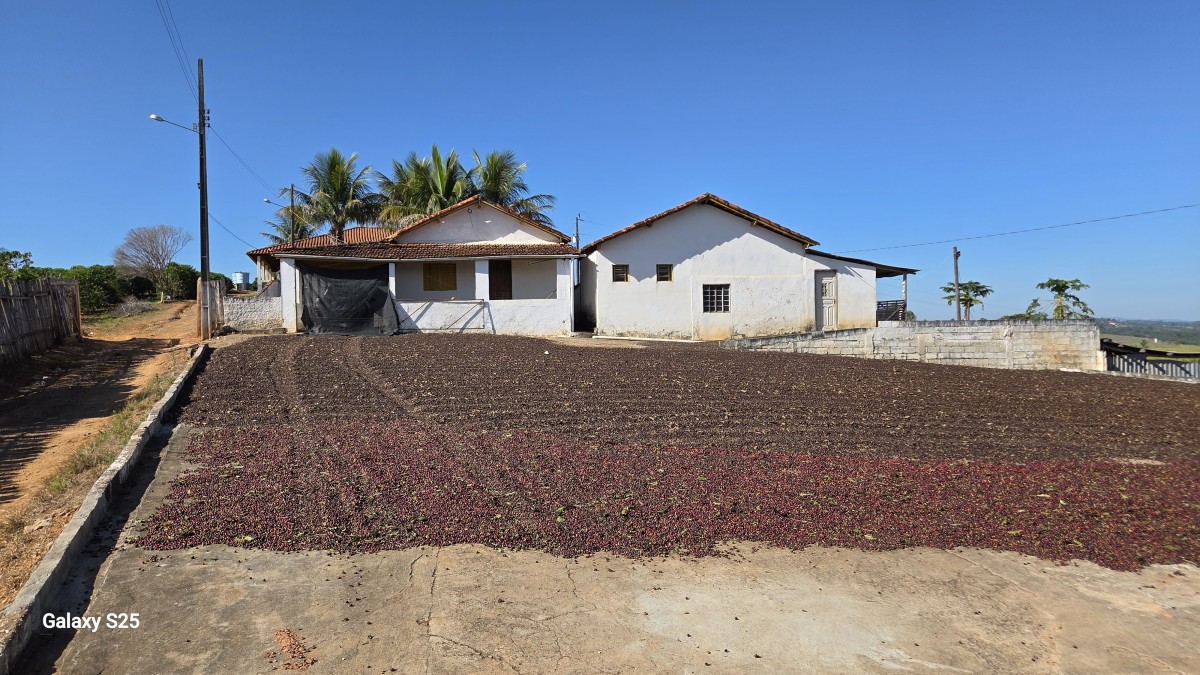 Sítio à venda com 1 quarto, 121000m² - Foto 4