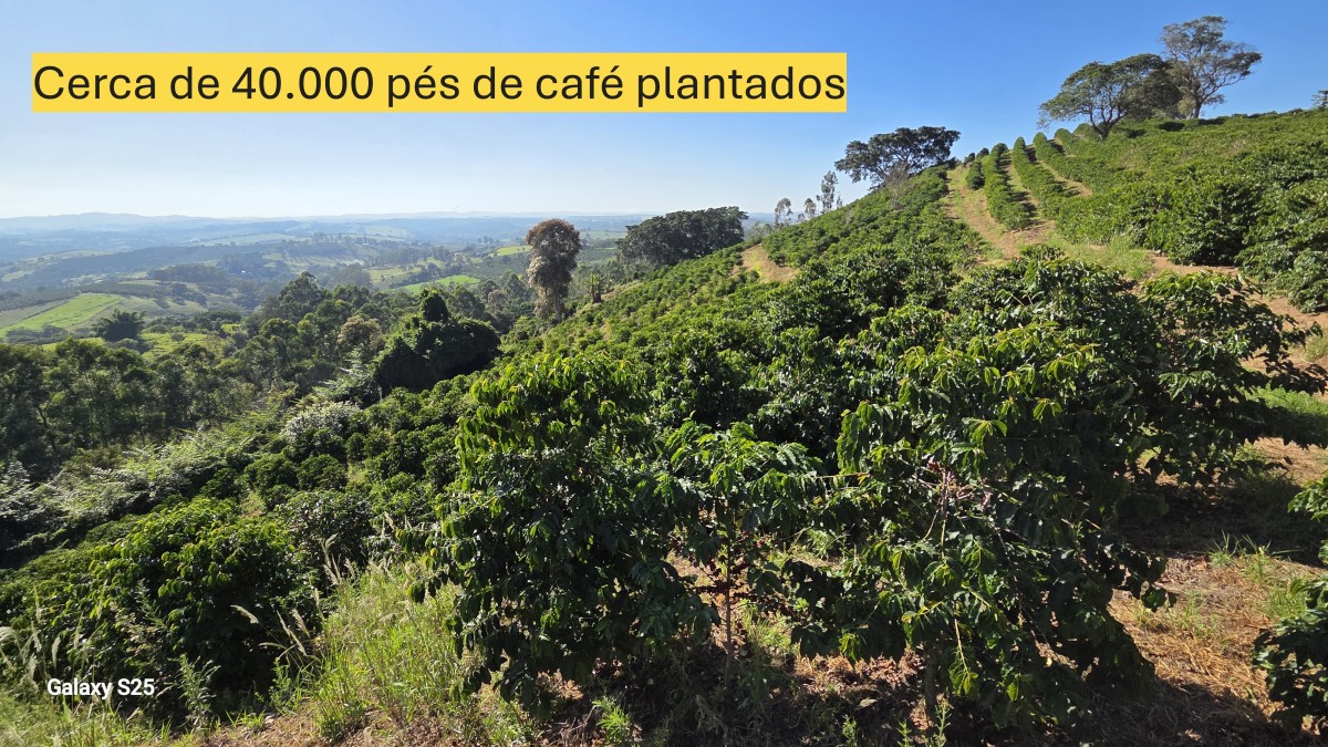 Sítio à venda com 1 quarto, 121000m² - Foto 22