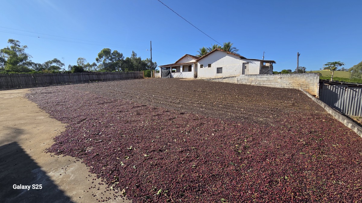 Sítio à venda com 1 quarto, 121000m² - Foto 3