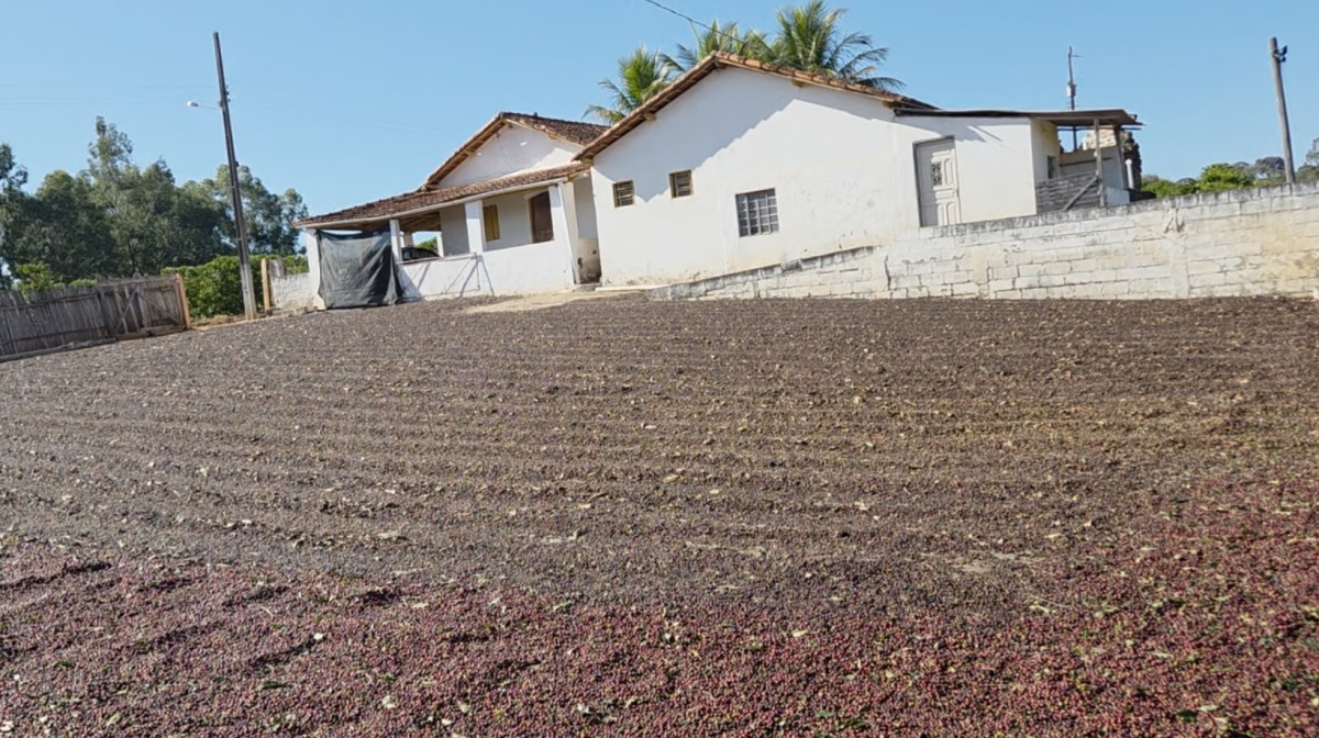 Sítio à venda com 1 quarto, 121000m² - Foto 8