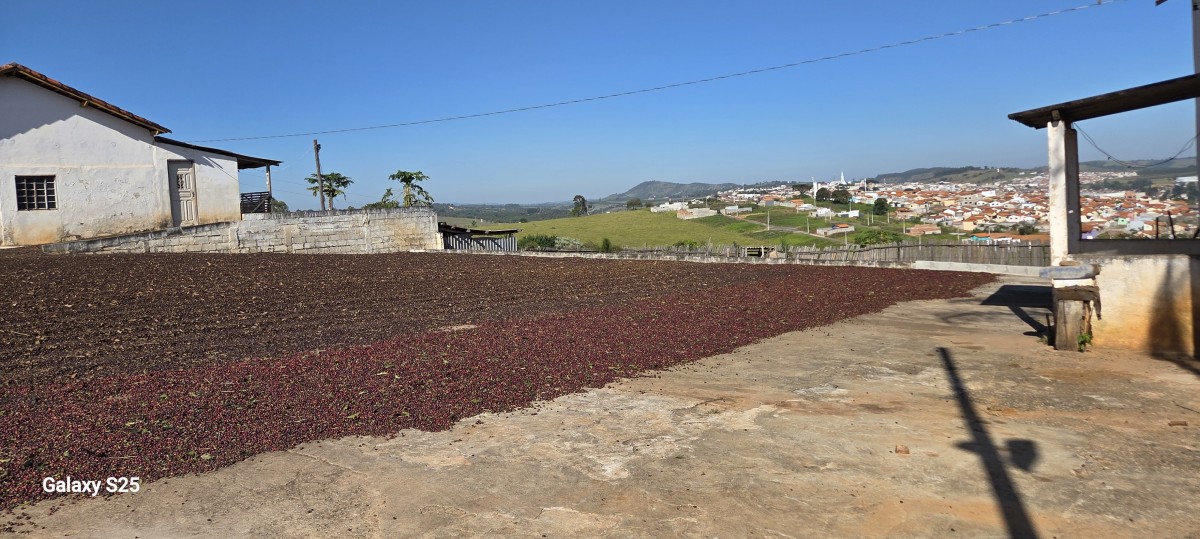 Sítio à venda com 1 quarto, 121000m² - Foto 10