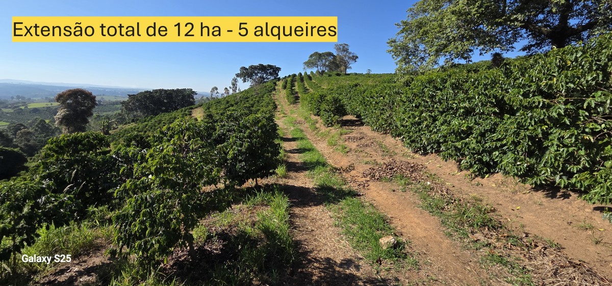 Sítio à venda com 1 quarto, 121000m² - Foto 13