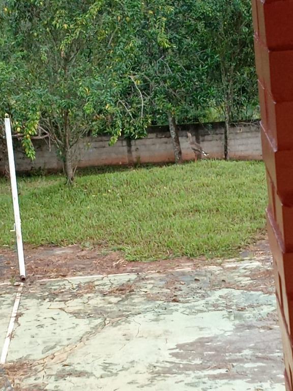Sítio à venda com 4 quartos, 200m² - Foto 19