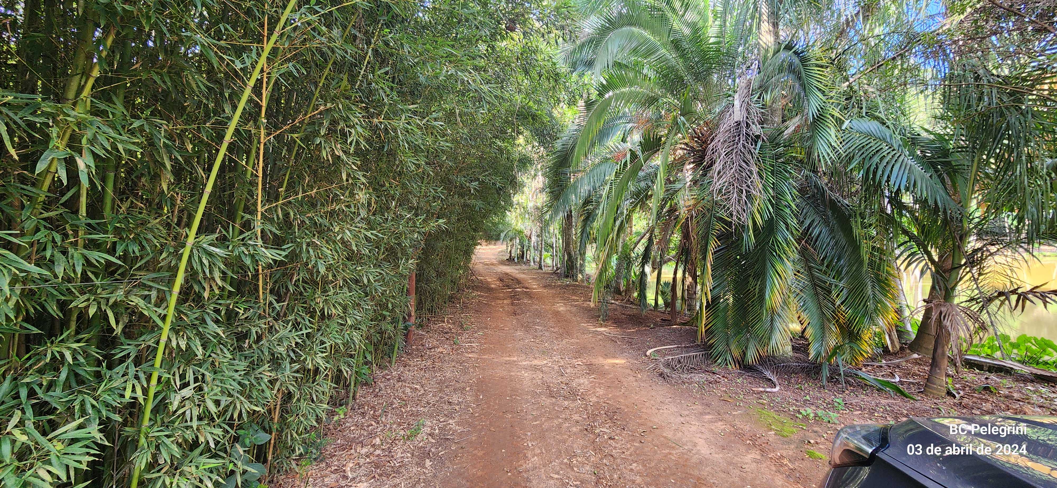 Fazenda à venda com 3 quartos, 680m² - Foto 16