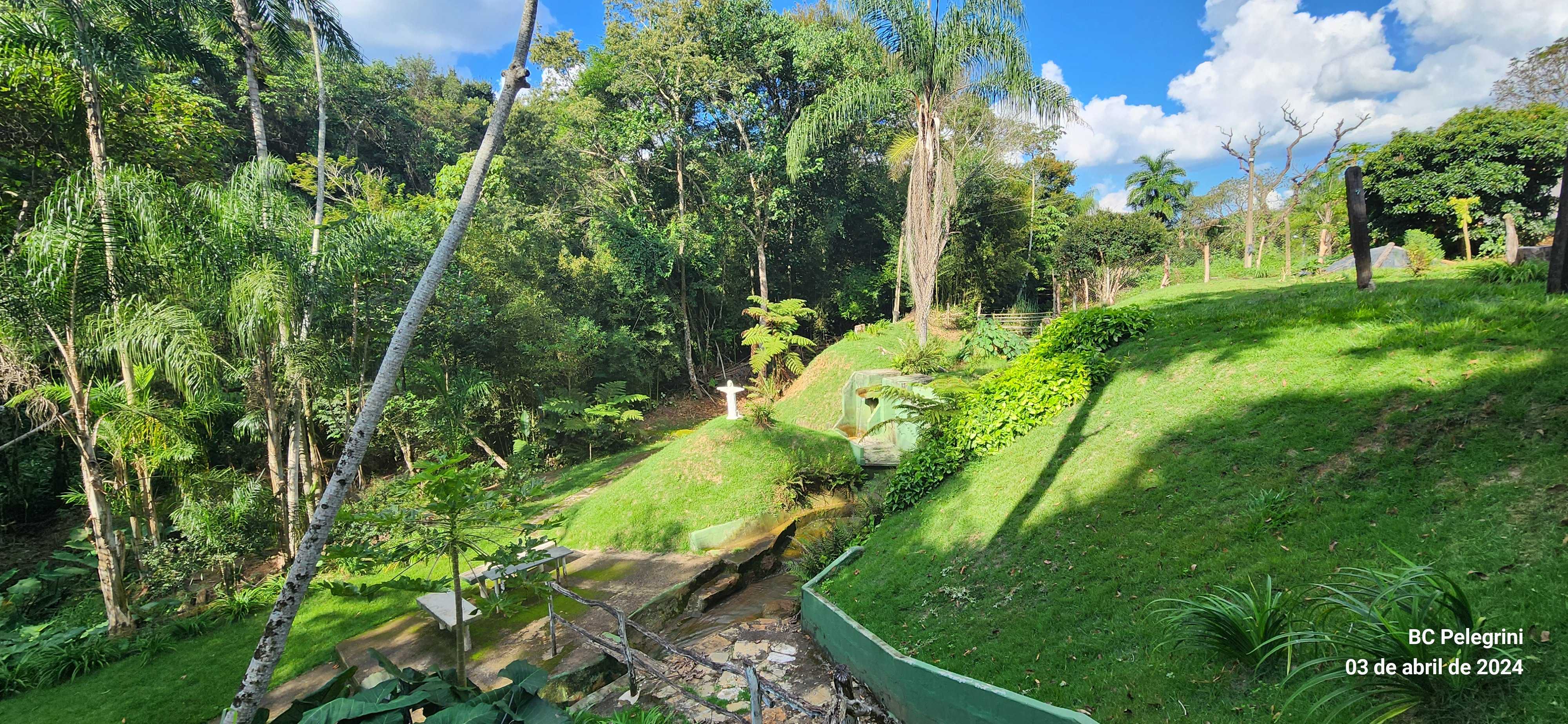 Fazenda à venda com 3 quartos, 680m² - Foto 14