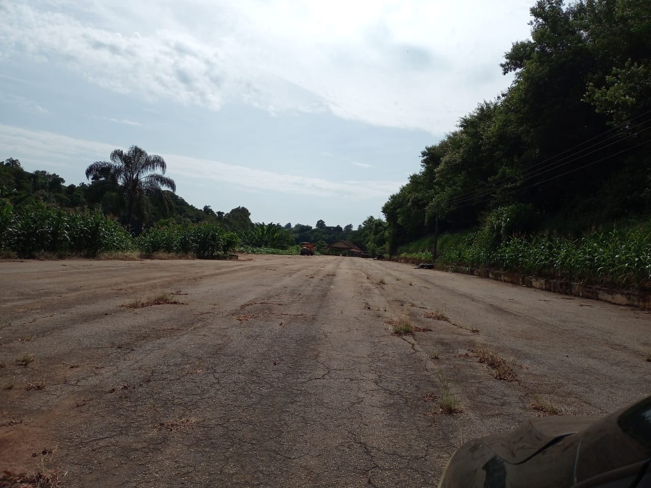 Fazenda à venda com 3 quartos, 680m² - Foto 12